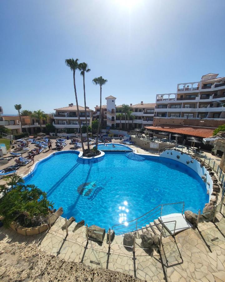 Albatros Park Amarilla Golf Piscina Climatizada, Wifi Lägenhet San Miguel de Abona Exteriör bild